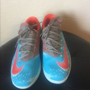 KD VI Maryland Blue Crab